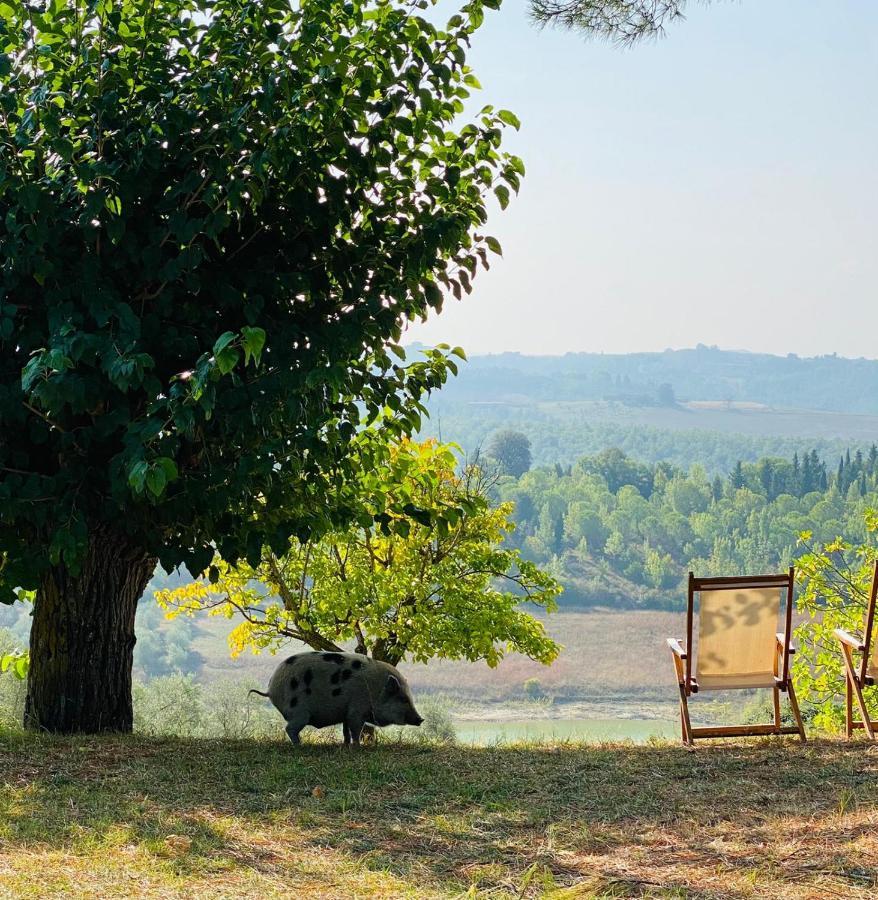 Agriturismo Sole Trequanda Exterior photo