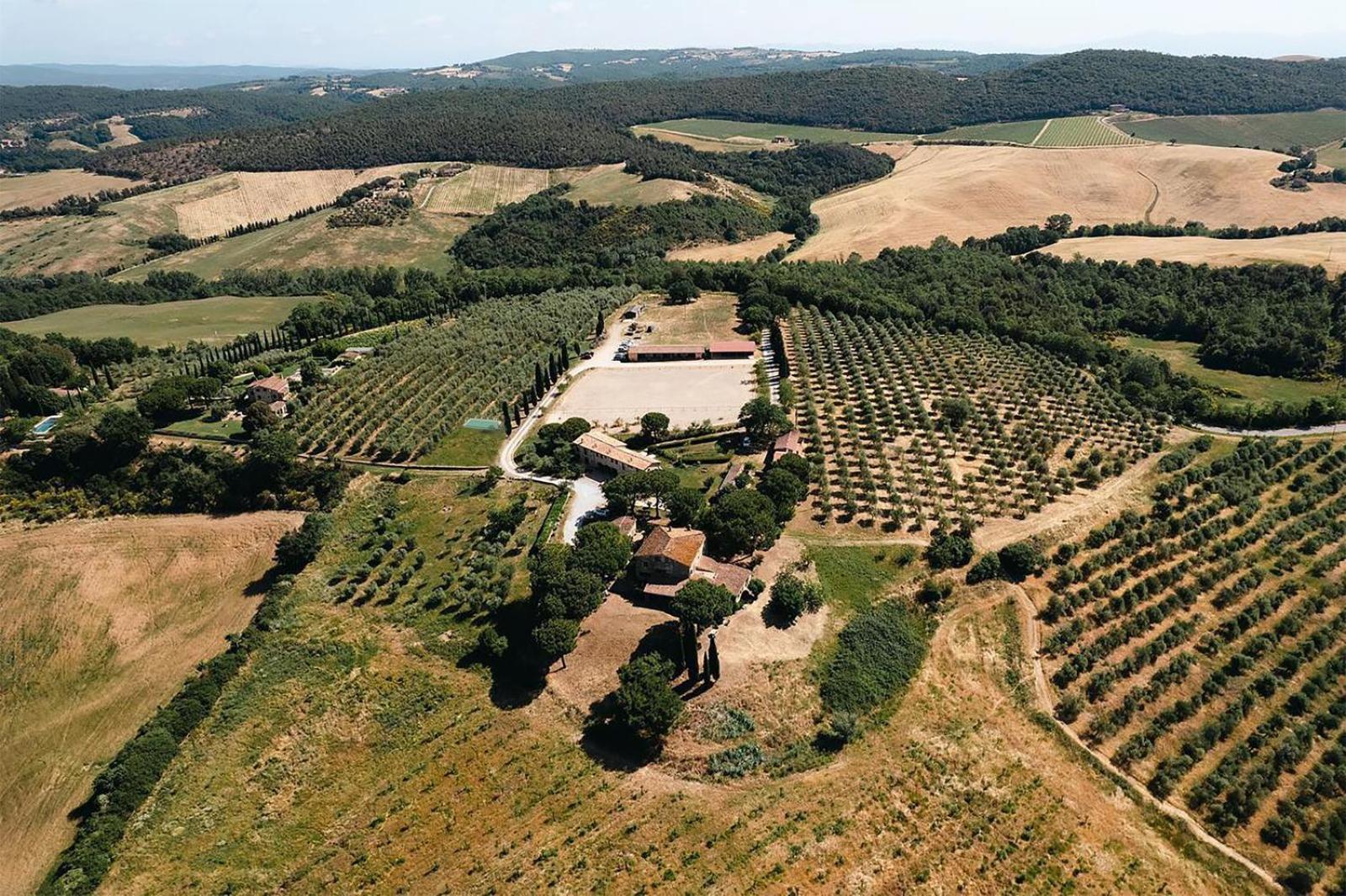 Agriturismo Sole Trequanda Exterior photo