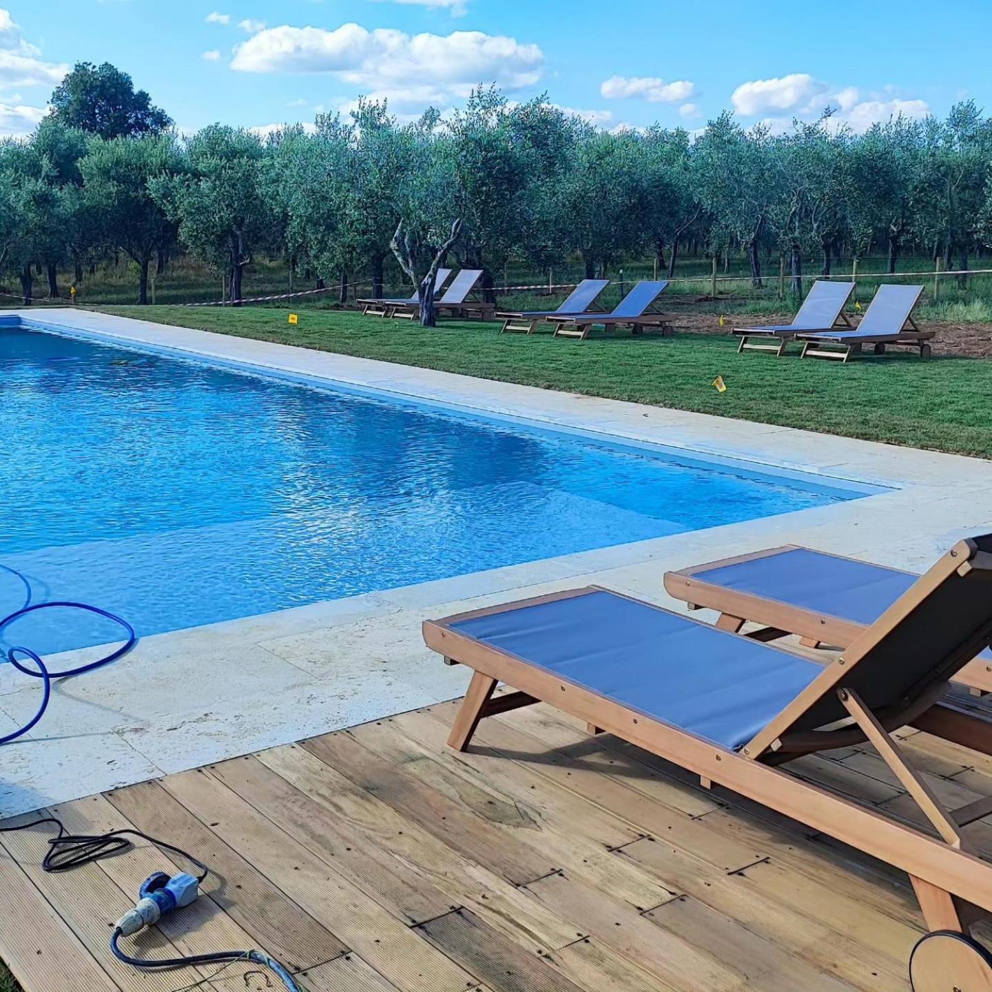Agriturismo Sole Trequanda Exterior photo